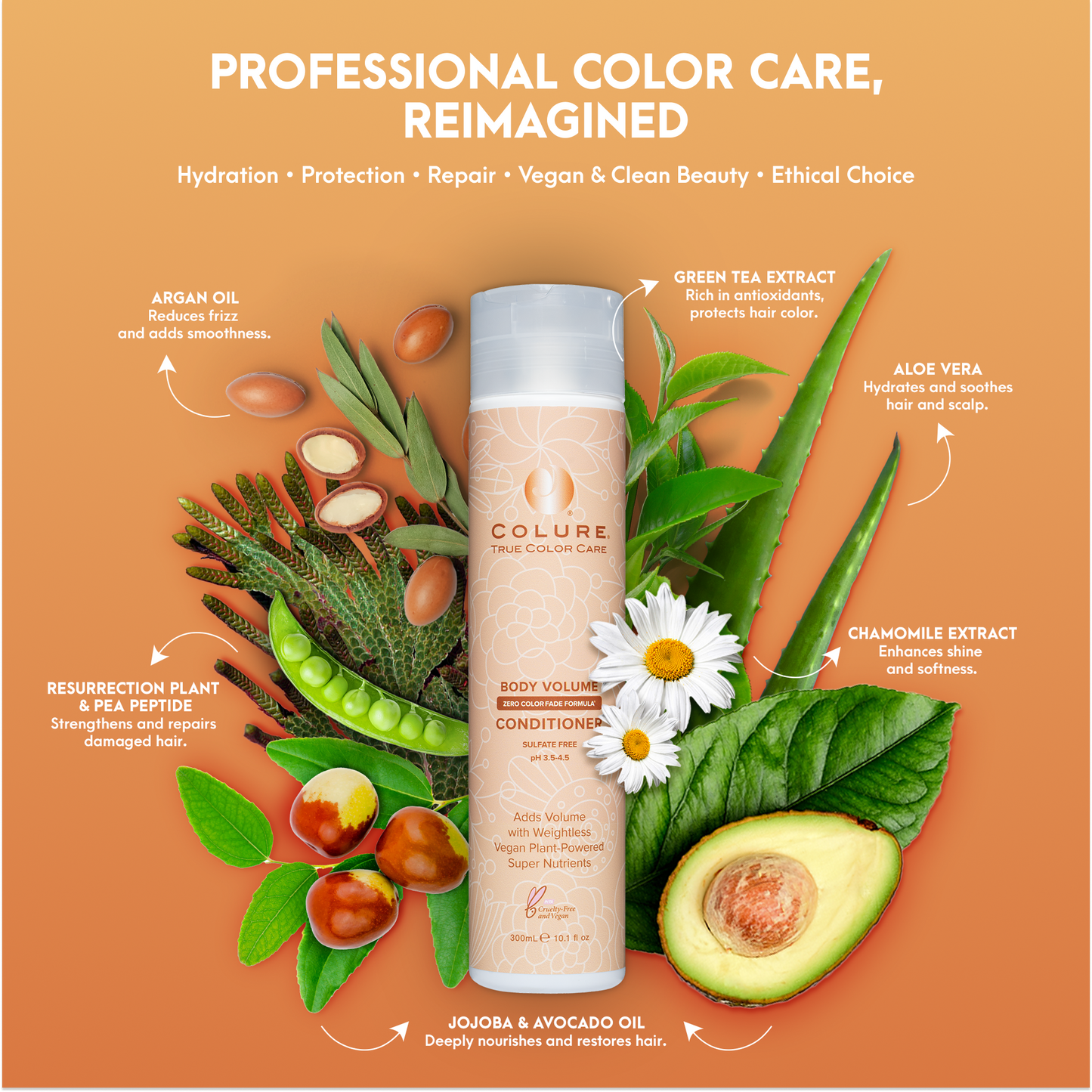 COLURE Body Volume Conditioner, 10 Fl Oz – Weightless Thickening Hair Treatment for Fine Damaged Hair, Vegan Hydrating